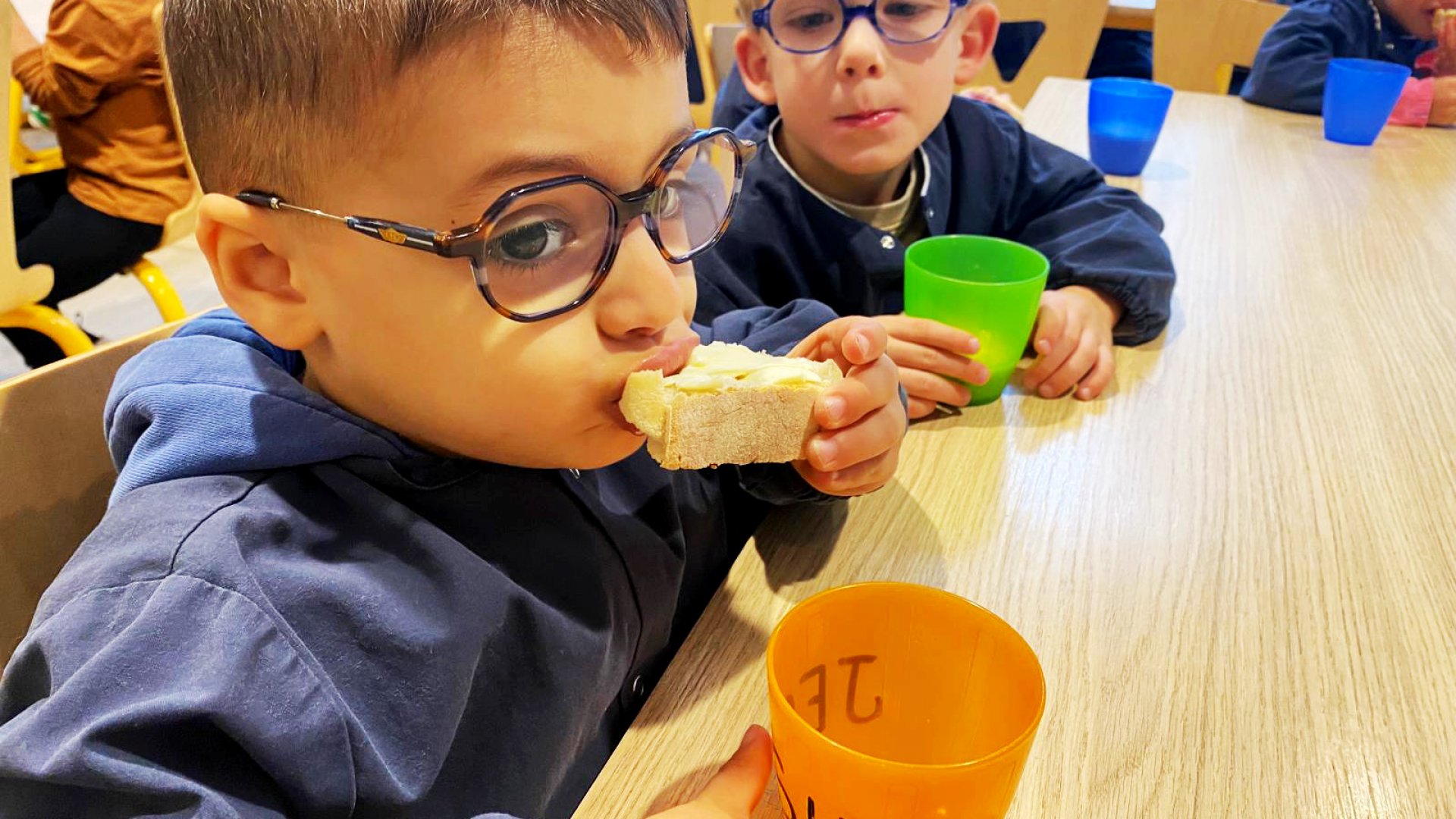 0faedc6e-c7a6-4a22-ab3d-5375e66dc98c