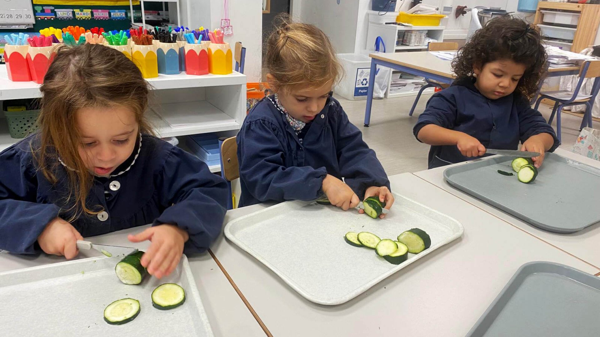 28c2382d-4fc3-44e9-9793-4e971e459a4c